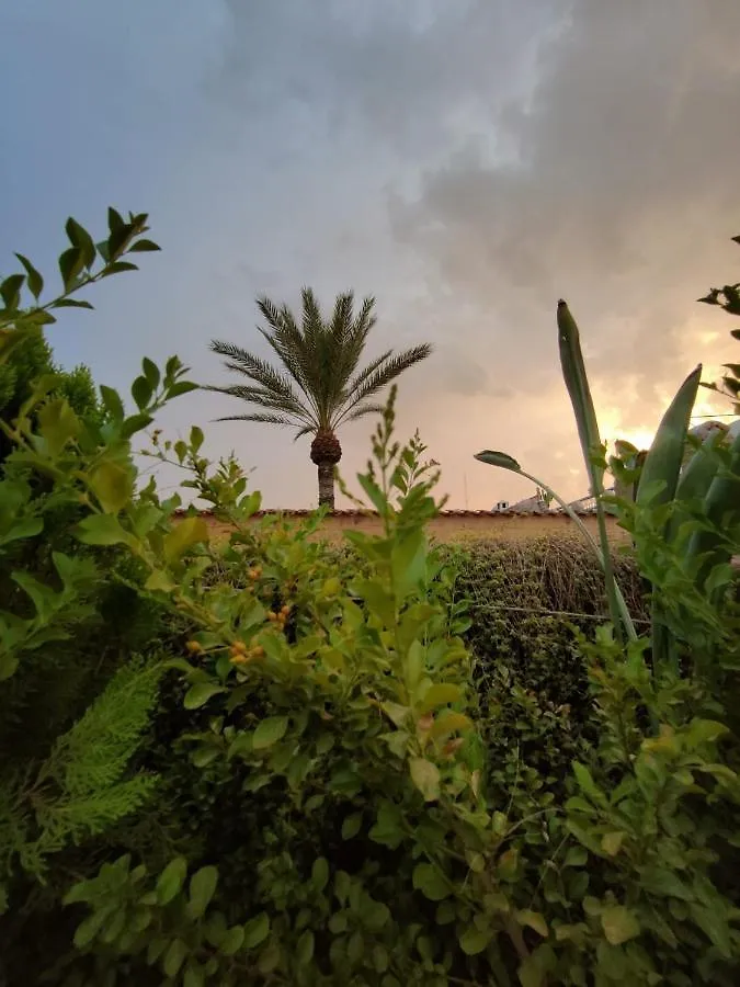 Hotel Riad Assalam Marrakesh